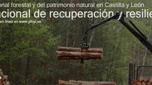 Plan de Recuperación Europeo para el sector forestal y del patrimonio natural en Castilla y León