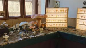 Primavera Setera 22 Montes de Soria