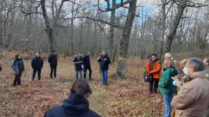 LIFE +REB comité expertos rebollo