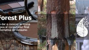 INTERREG Sudoe SustForest Plus noticias