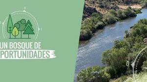 cursos Empleo ASEMFO