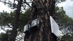 Sensores resina RESINLAB