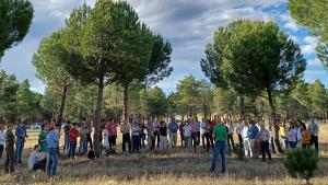 II Simposio GO PINEA pino piñonero