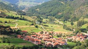 MITECO bioeconomía forestal