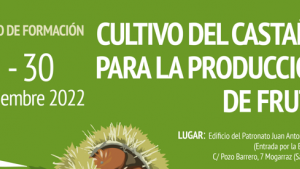 Curso gratuito presencial cultivo de castaño para producción de fruto