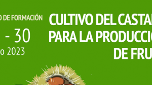 Curso cultivo del castaño en Casillas-Avila
