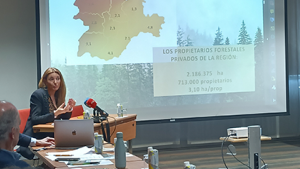 Día del Árbol 2023 Fafcyle-Cesefor