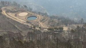 bioindicadores rizosfera tras incendios