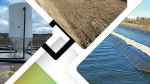 Visitas II Foro Bioec