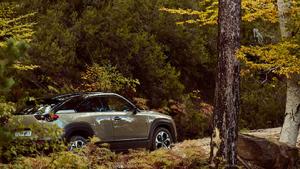 Mazda compensa huella de carbono