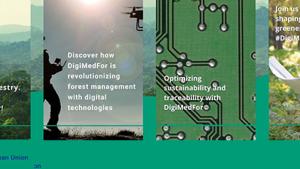 DigiMedFor busca stakeholders