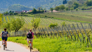 DIGIeconafacugas indforma