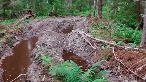 Inteligencia Artificial para operadores forestales