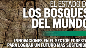 Estado de los bosques 2024 FAO