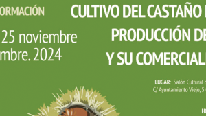 Curso castaña Avila