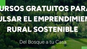 Cursos Del Bosque a tu Casa mayo2025