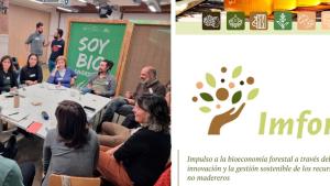 imforest_jornada tec diciembre 24