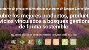 plataforma IMFOREST