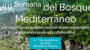 Bosque modelo palencia Medforum