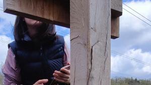 bioeconomia bosque modelo palencia