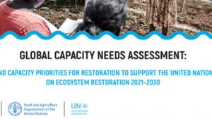 fao_restoration_survey.jpg