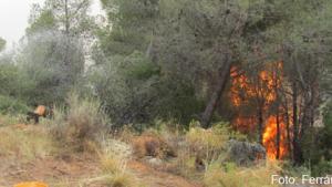 incendi_cortes_de_pallas_2012_medi_xxi_gsa_056.jpg