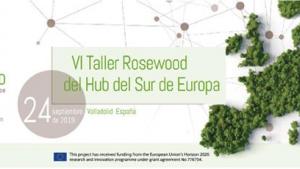 iv_taller_rosewood_cesefor.jpg