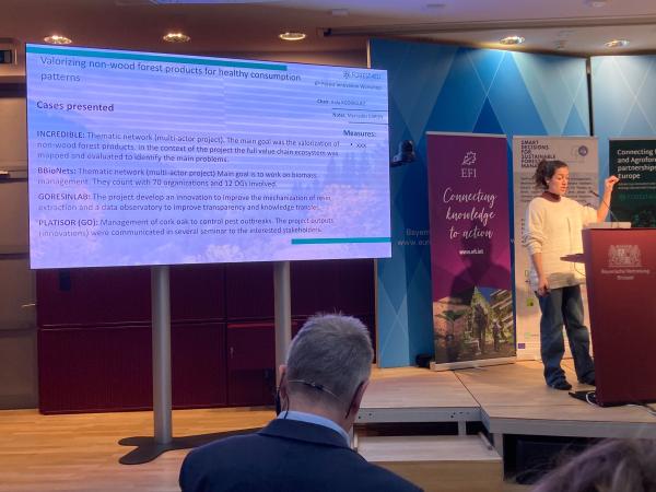 Sesión de productos forestales no maderables organizada por FOREST4EU