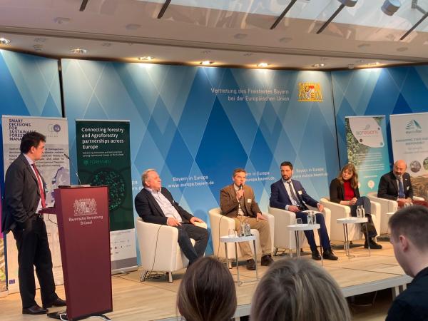 VI Taller de Innovación Forestal celebrado los días 11 y 12 de febrero en Bruselas