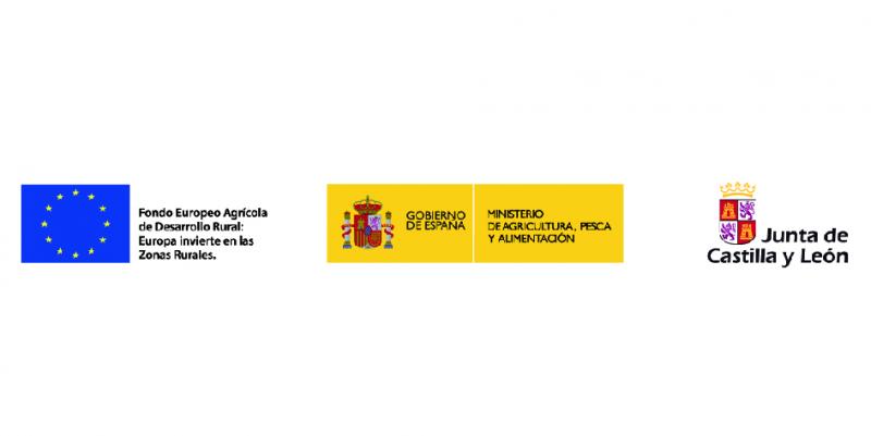 cursos