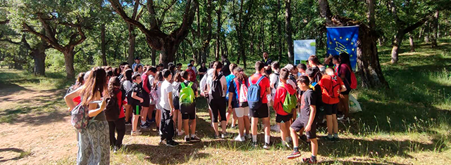 Visita de escolares al proyecto LIFE+ Rebollo Visita de escolares al proyecto LIFE+ Rebollo