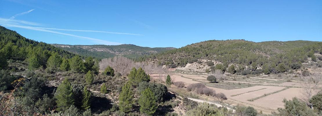 PILA selvicultura de cubierta continua PILA selvicultura de cubierta continua