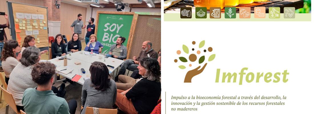 imforest_jornada tec diciembre 24