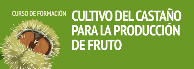 cartel_a3_accion_formativa_castano_salamanca_copia.png
