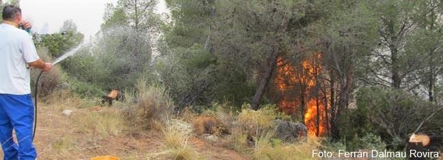incendi_cortes_de_pallas_2012_medi_xxi_gsa_056.jpg