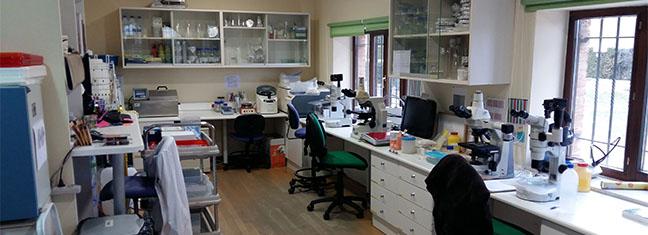 laboratorio_fitopatologia_1.jpg