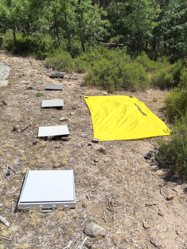Vuelos con dron OptiForValue-segunda campaña rodales demostrativos del caso de estudio de España
